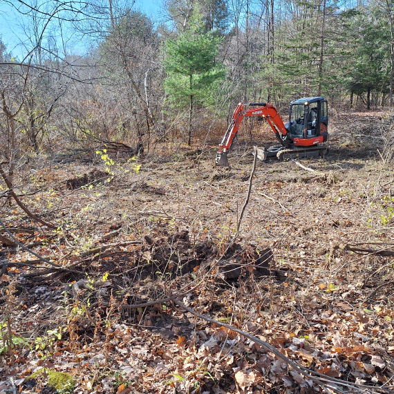 land clearing service